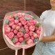 Роскошный букет из 15 веток премиальной кустовой пион розы Silva Pink и эвкалипта