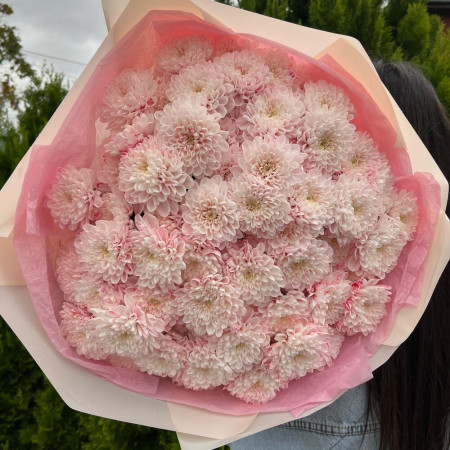 Букет из 13 кустовых хризантем