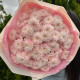 Букет из 13 кустовых хризантем