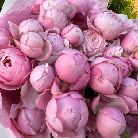 Букет из веток премиальной кустовой пион розы Silva Pink