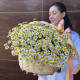 Корзина с ромашками и бантиком композиция в Краснодаре