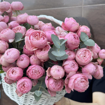 Корзина с кустовой пион розой премиум сорта Silva Pink и эвкалиптом в Краснодаре