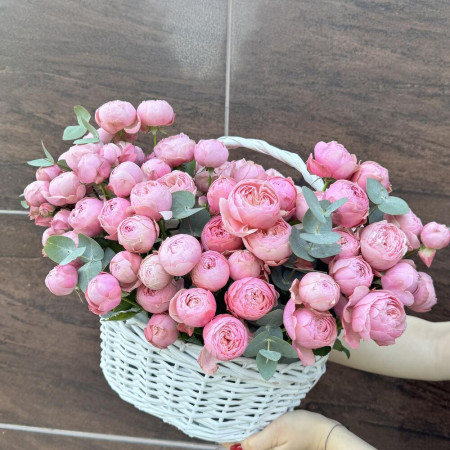 Корзина с кустовой пион розой премиум сорта Silva Pink и эвкалиптом в Краснодаре